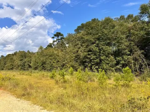 Land Available in Newton, Alabama