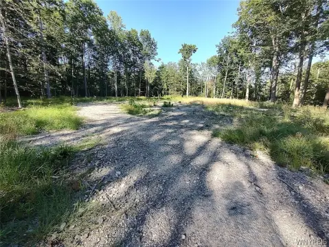 Mostly Cleared Residential Building Lot