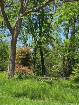 Downtown Corsicana Treed Lot