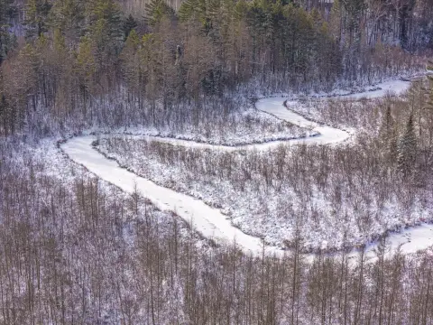 35 Acres of Wooded Land