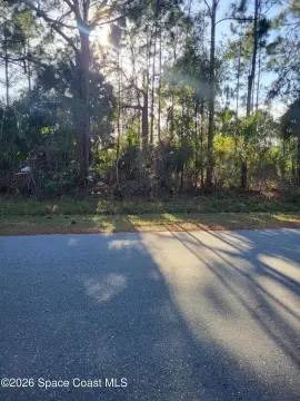 Palm Bay Wooded Lot
