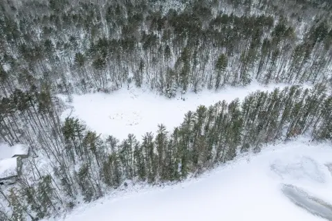 Eagle River Land on Chickaree