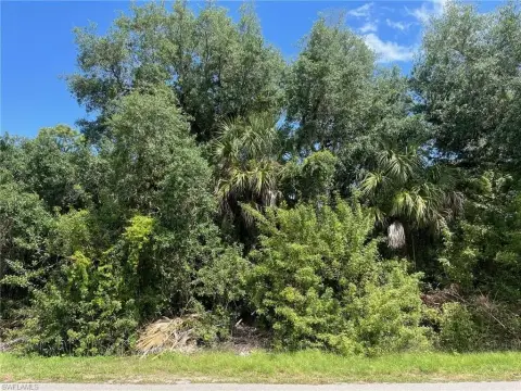 Residential Land in Naples, FL