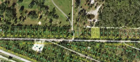 Residential Lot in Punta Gorda