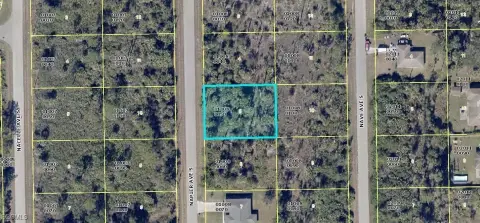 Lehigh Acres Wooded Residential Lot
