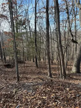 Wooded Recreation Land Lot