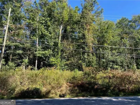 Residential Land in South Fulton