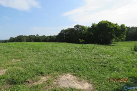 Agricultural Land Tract with Pasture Mix