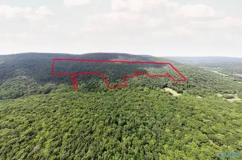 Recreational Hunting Land Tract