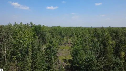 40 Acres of Natural Beauty