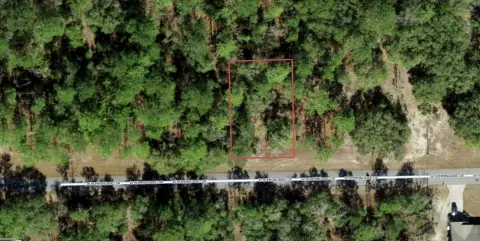 Vacant Lot in Citrus Springs