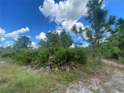 Residential Lot in Lehigh Acres