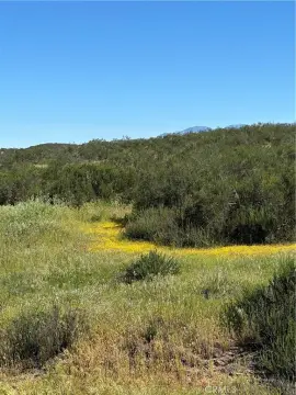 Large Acreage Land Parcel