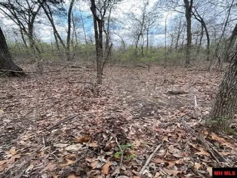 Versatile Land Tract Near Yellville