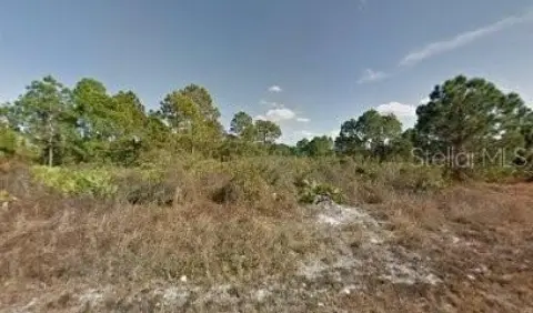 Residential Land in Lehigh Acres