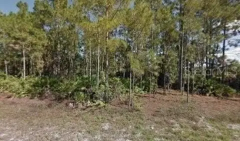 Residential Land in Lehigh Acres
