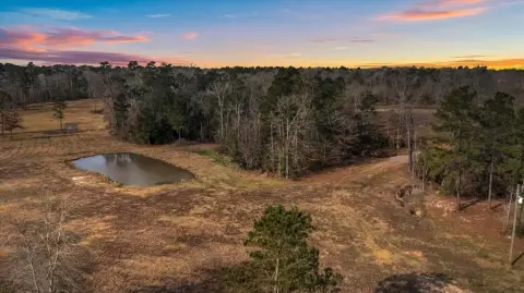 49.5 Acres in Lufkin, TX