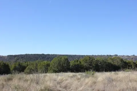 50 Acres in Segovia, Texas