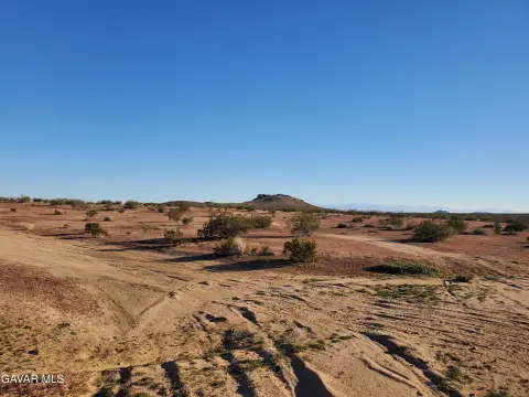 Mojave Desert Freedom Awaits