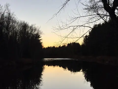 Surveyed Waterfront Land
