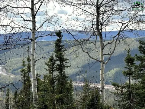 Fairbanks Land with Southern Exposure