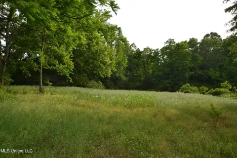 Commercial Development Land with Road Frontage