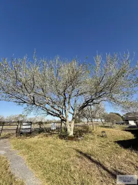 Land in Brownsville, Texas