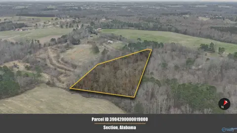 Unrestricted Land in Section, Alabama