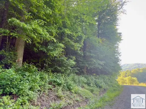 Secluded Wooded Land in Stuart