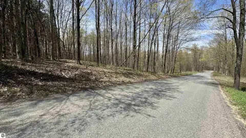 Wooded Land Near Lake Meauwataka