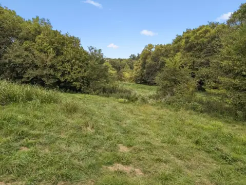 Shoal Creek Ridge Land Parcel