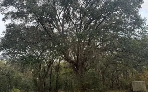 Lake City Acreage Opportunity