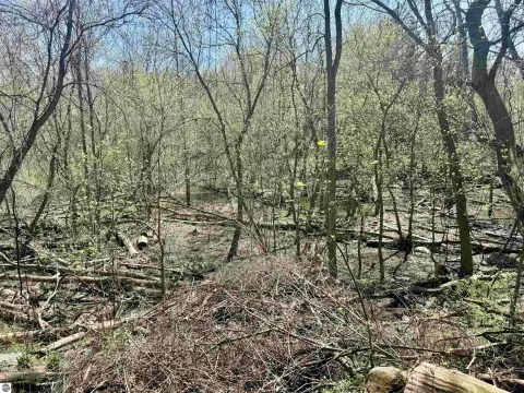 4-Acre Vacant Land with Frontage