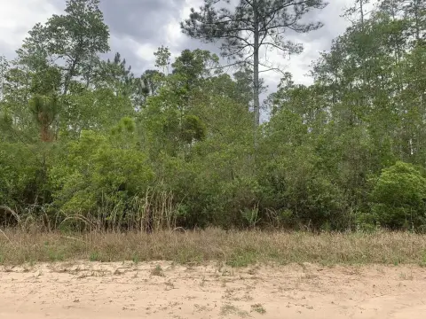 Interlachen Land with Owner Financing