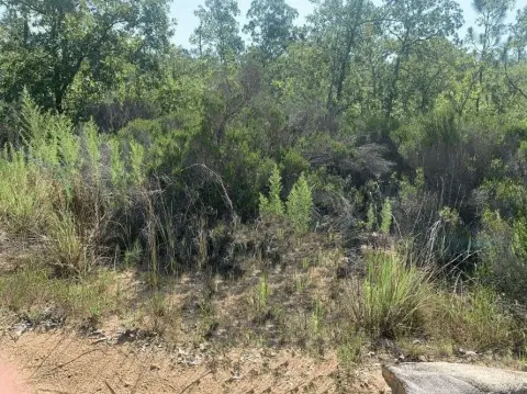 Buildable Land in Interlachen, FL