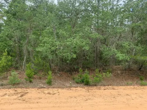 Land in Interlachen Estates