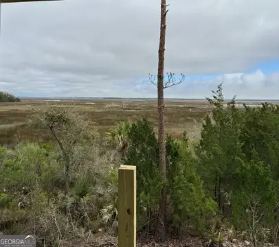 Marsh Front Lot in Georgia