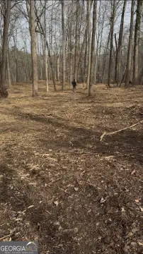 Gainesville Land with Lake Views