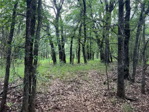 River-Bordered Hunting & Home Site