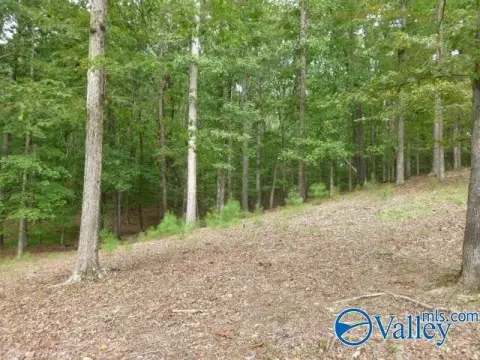 Land For Sale, Guntersville, AL