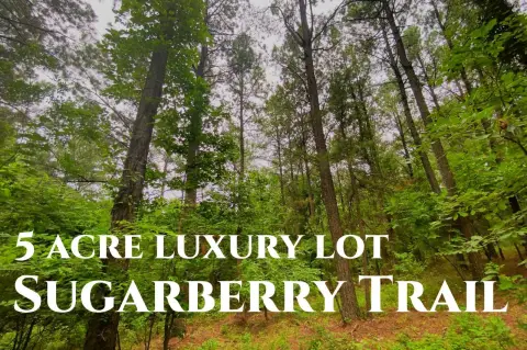 Unrestricted Land Near Pine Hills