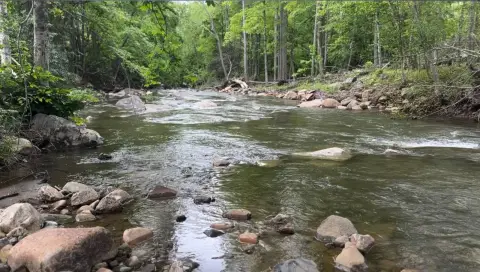 Trout Stream Frontage Land