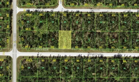 Oversized Lot in Port Charlotte