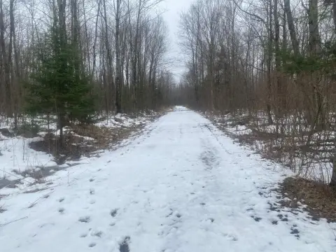 Secluded Forestland Quarter Section