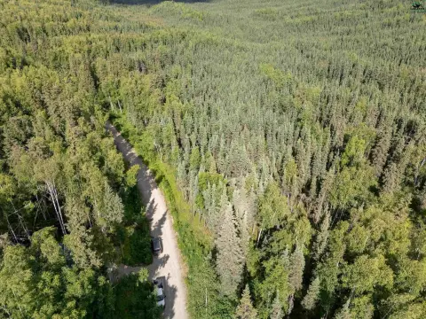 Wooded Residential Lots in Fairbanks