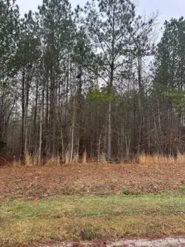 Wooded Land in Lincolnton, GA