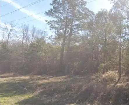 Land in Rural Manning, SC