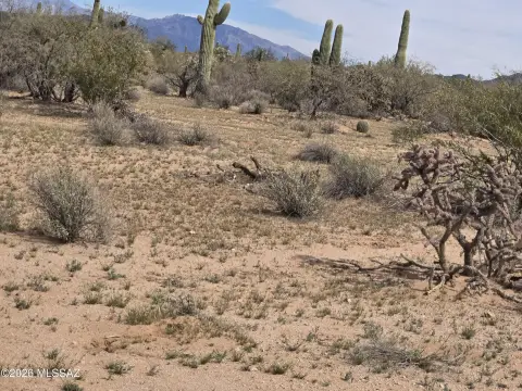 Land Near Saguaro National Monument
