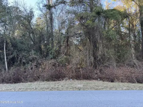 Vacant Land in Turkey, NC