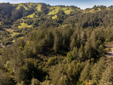 Residential Acreage in Forest Knolls